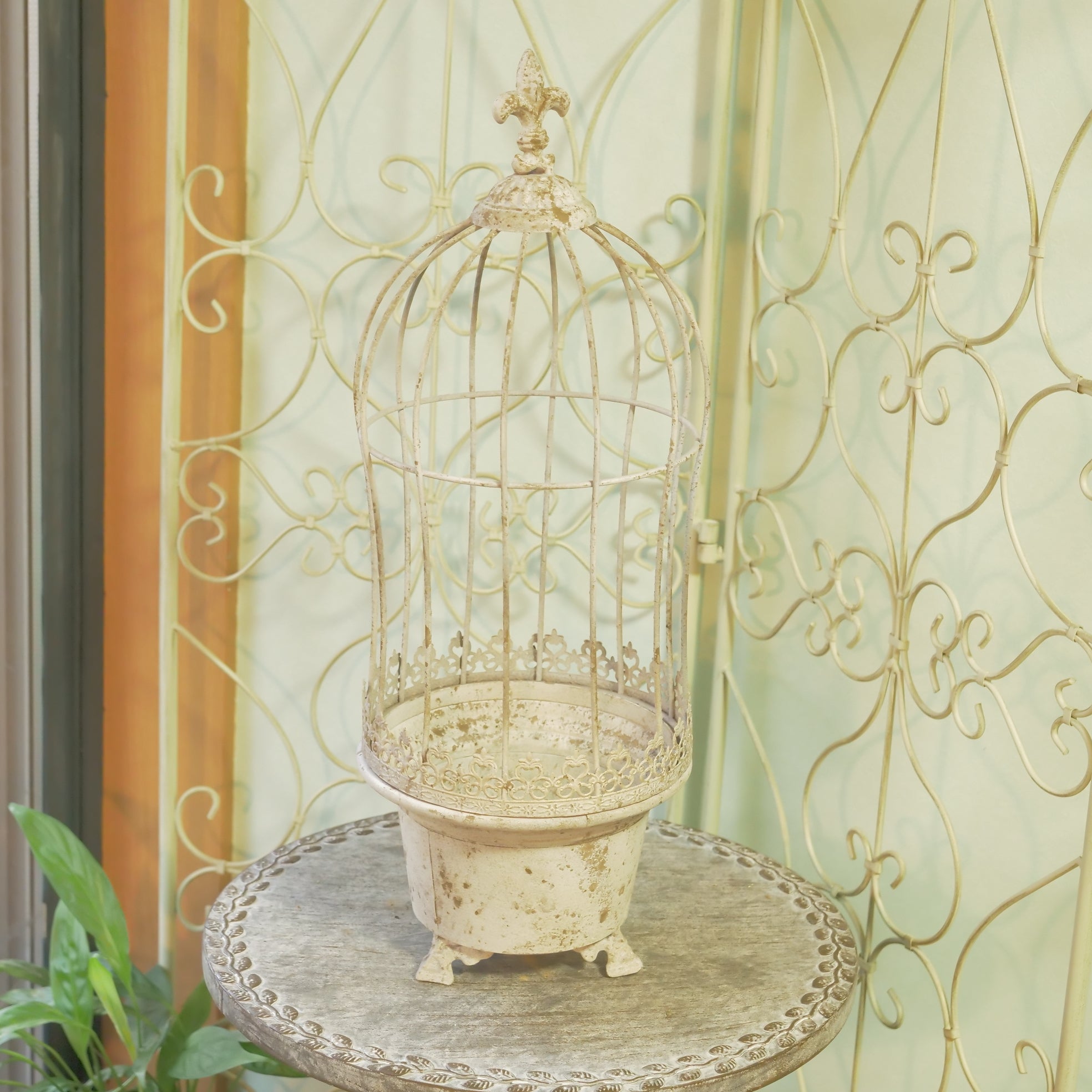 新着商品 – flower magic