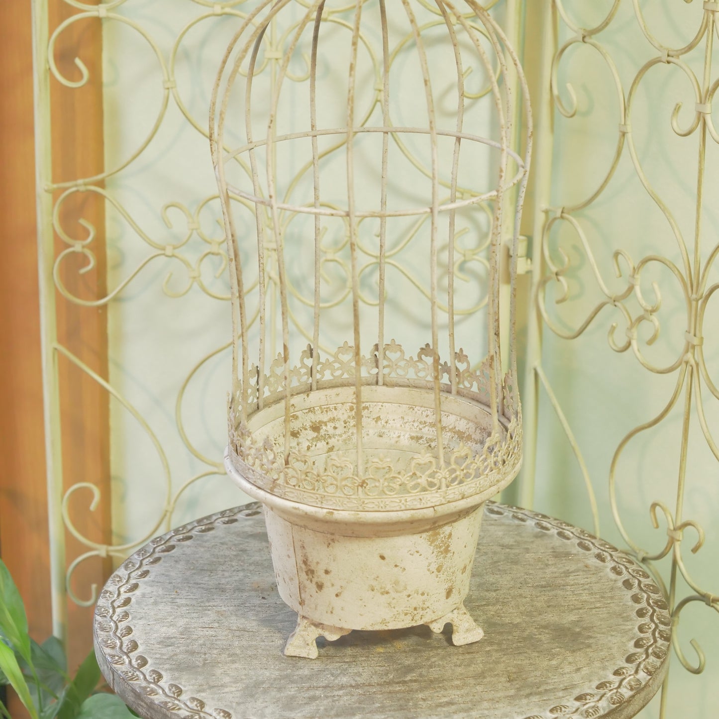 ロングカラージュ