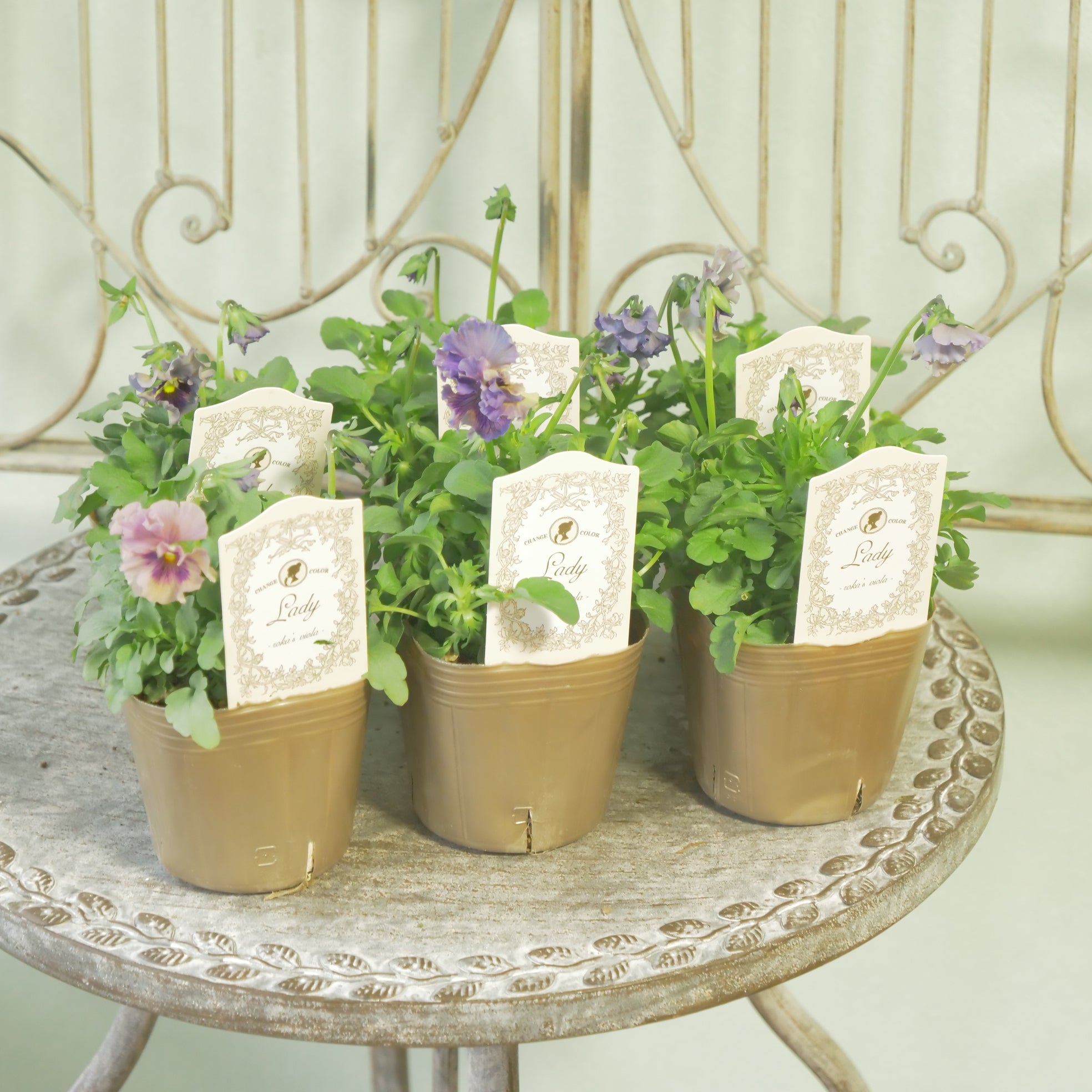 新着商品 – flower magic