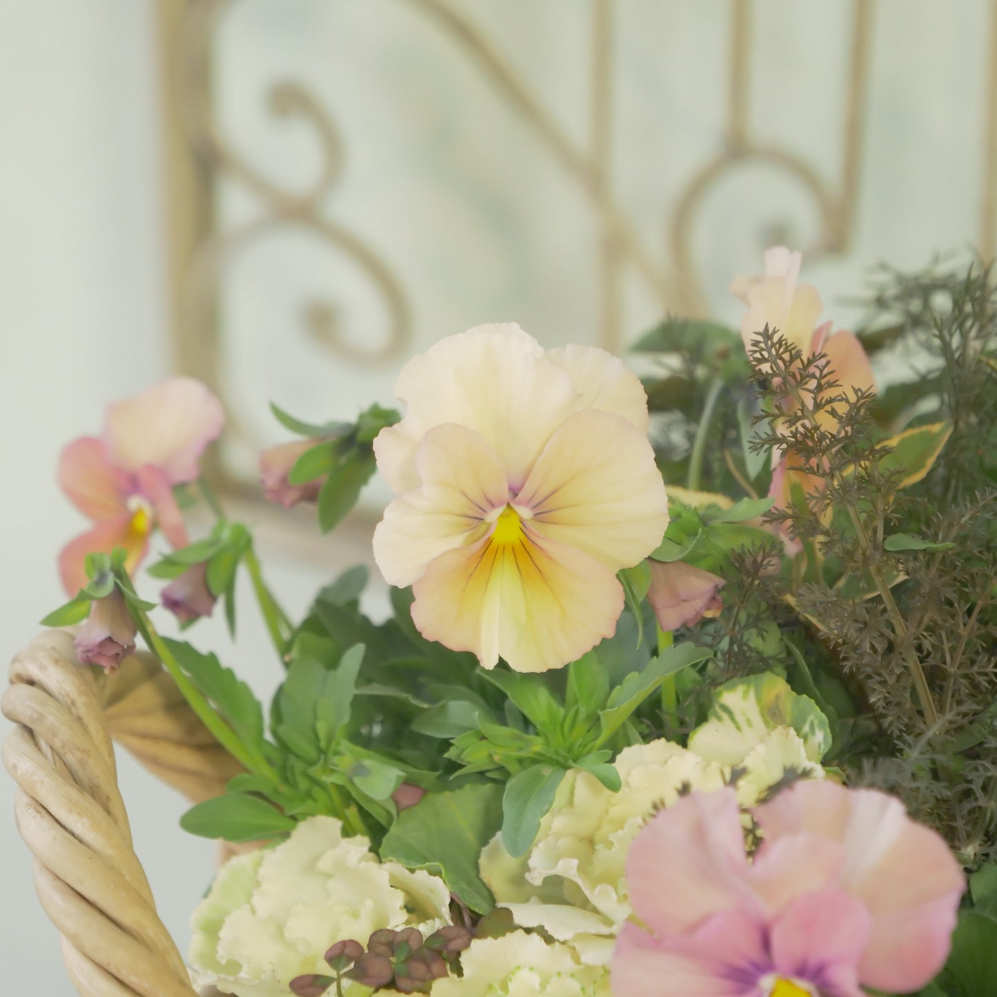 flowermagicオリジナル寄せ植え。グリーンのピック付き。