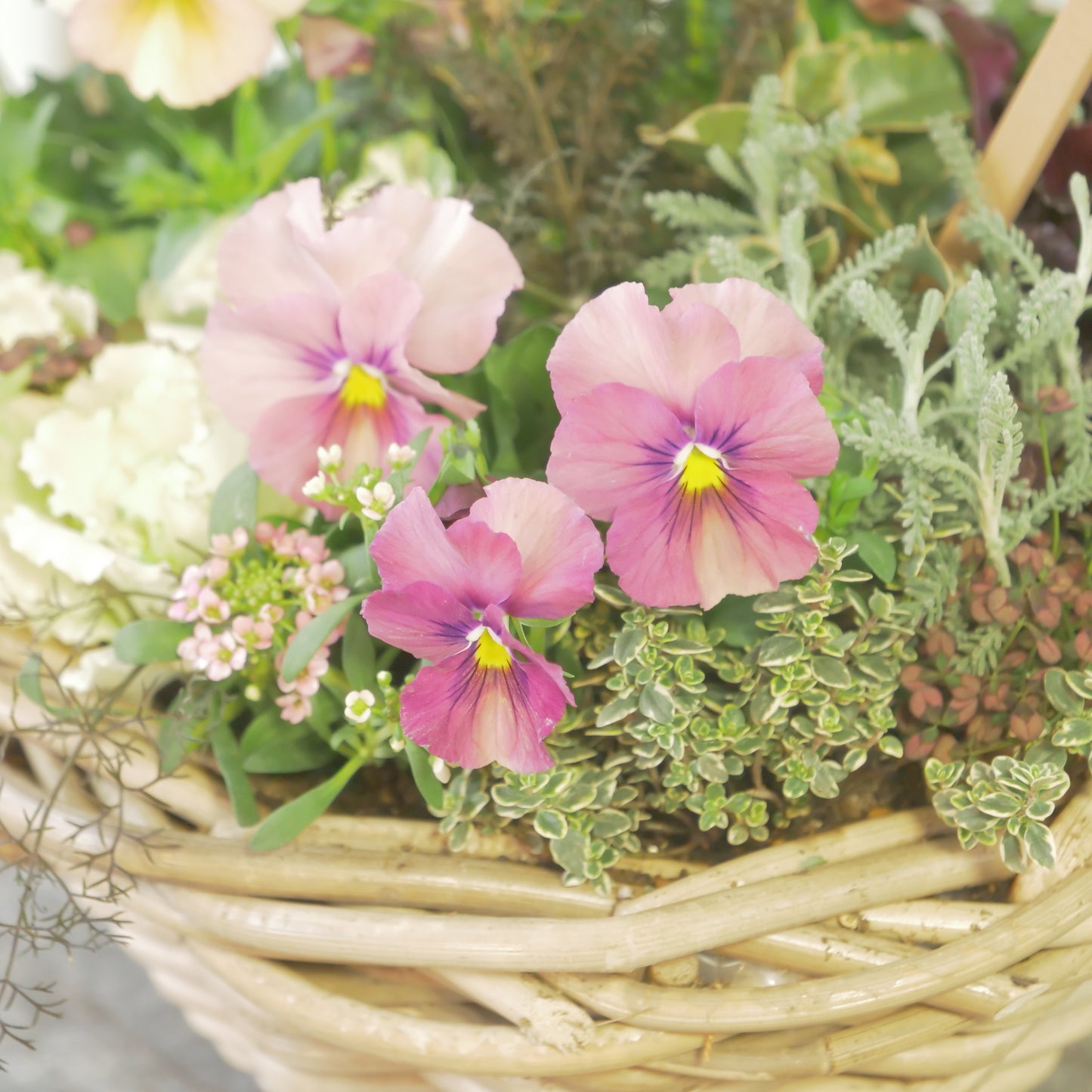 flowermagicオリジナル寄せ植え。グリーンのピック付き。