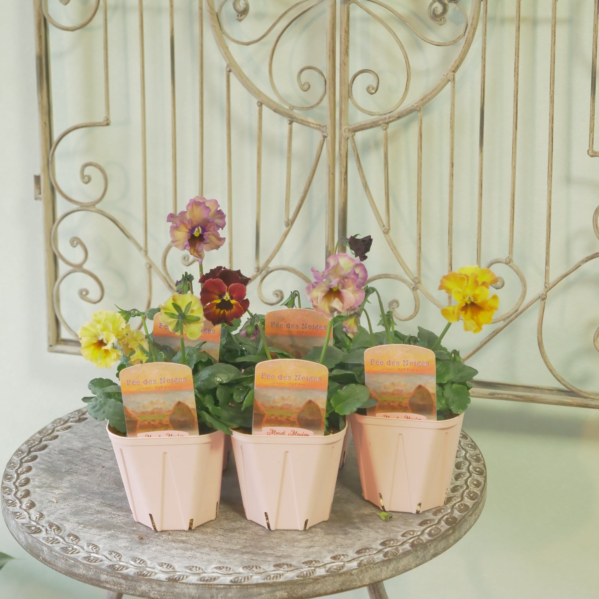 新着商品 – flower magic