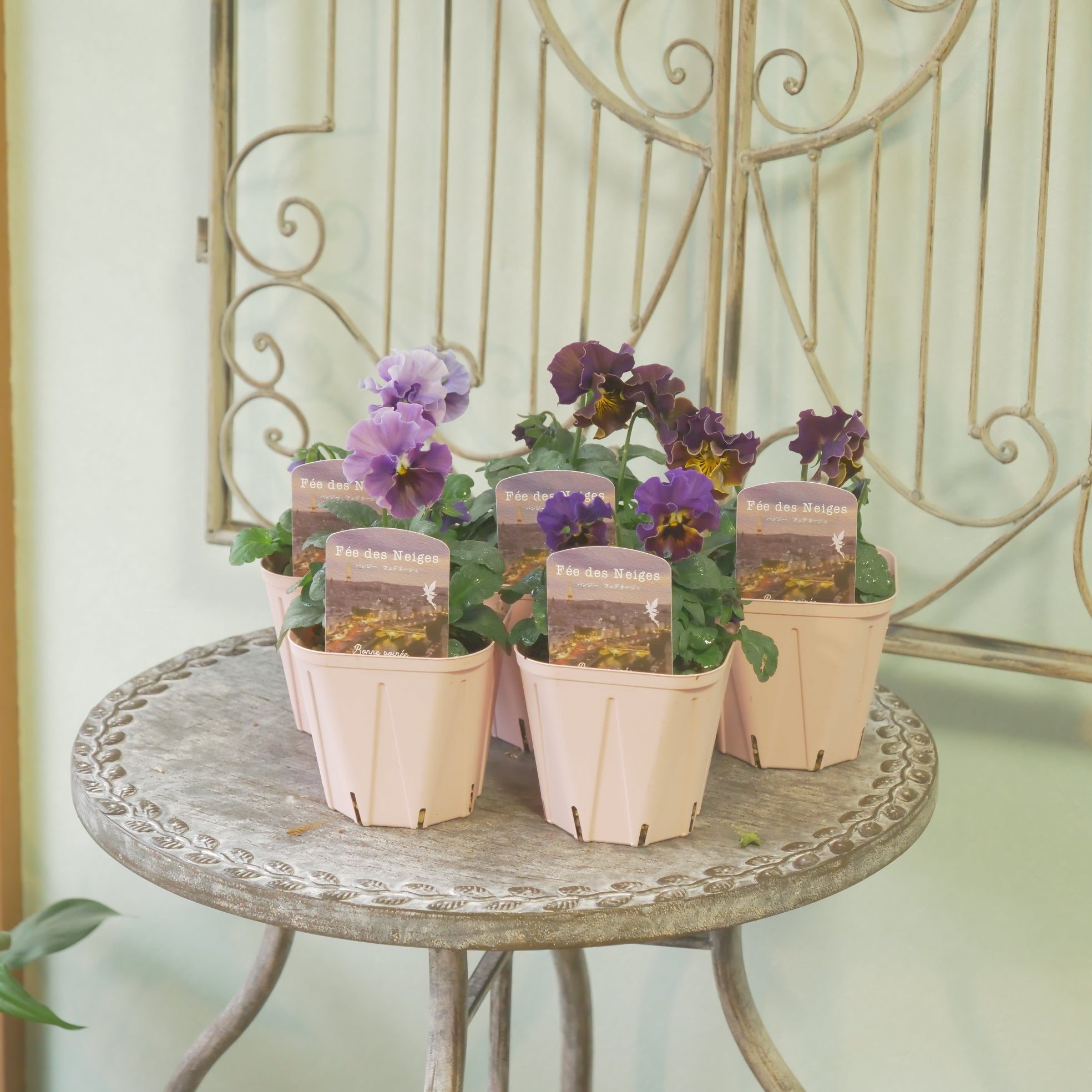 新着商品 – flower magic