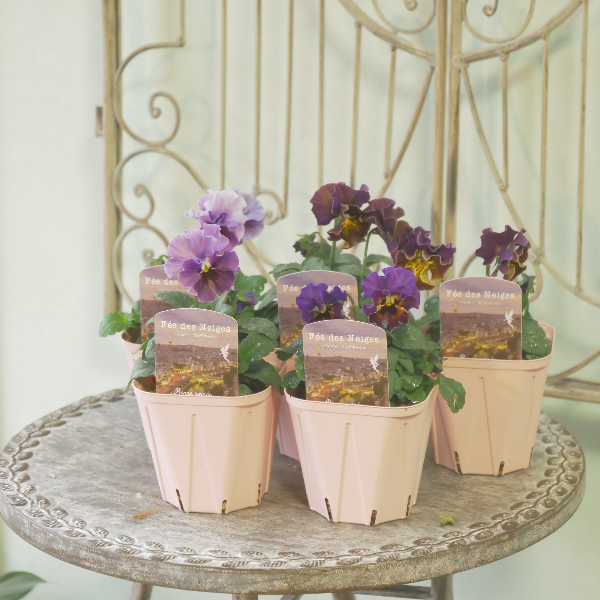 新着商品 – flower magic