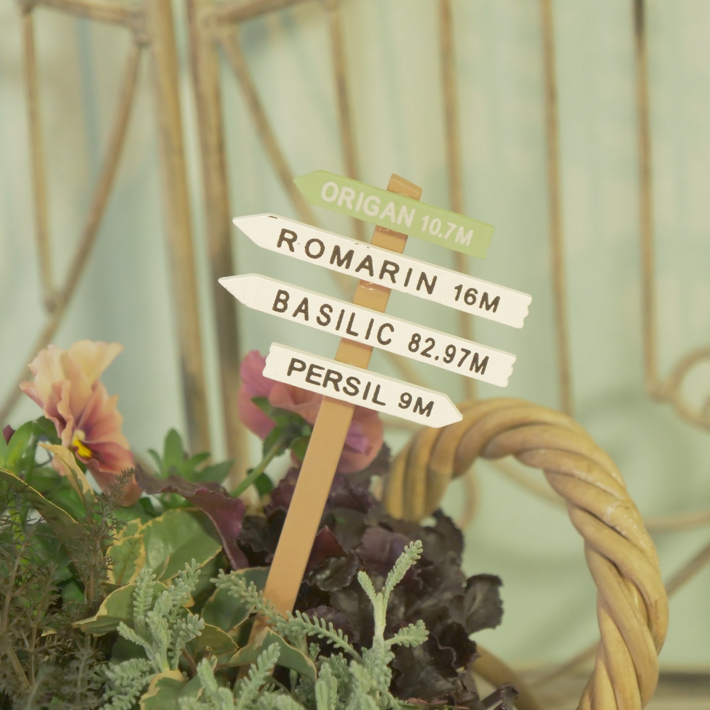 オリガンピック【グリーン】寄せ植えにワンポイント！木のピック。