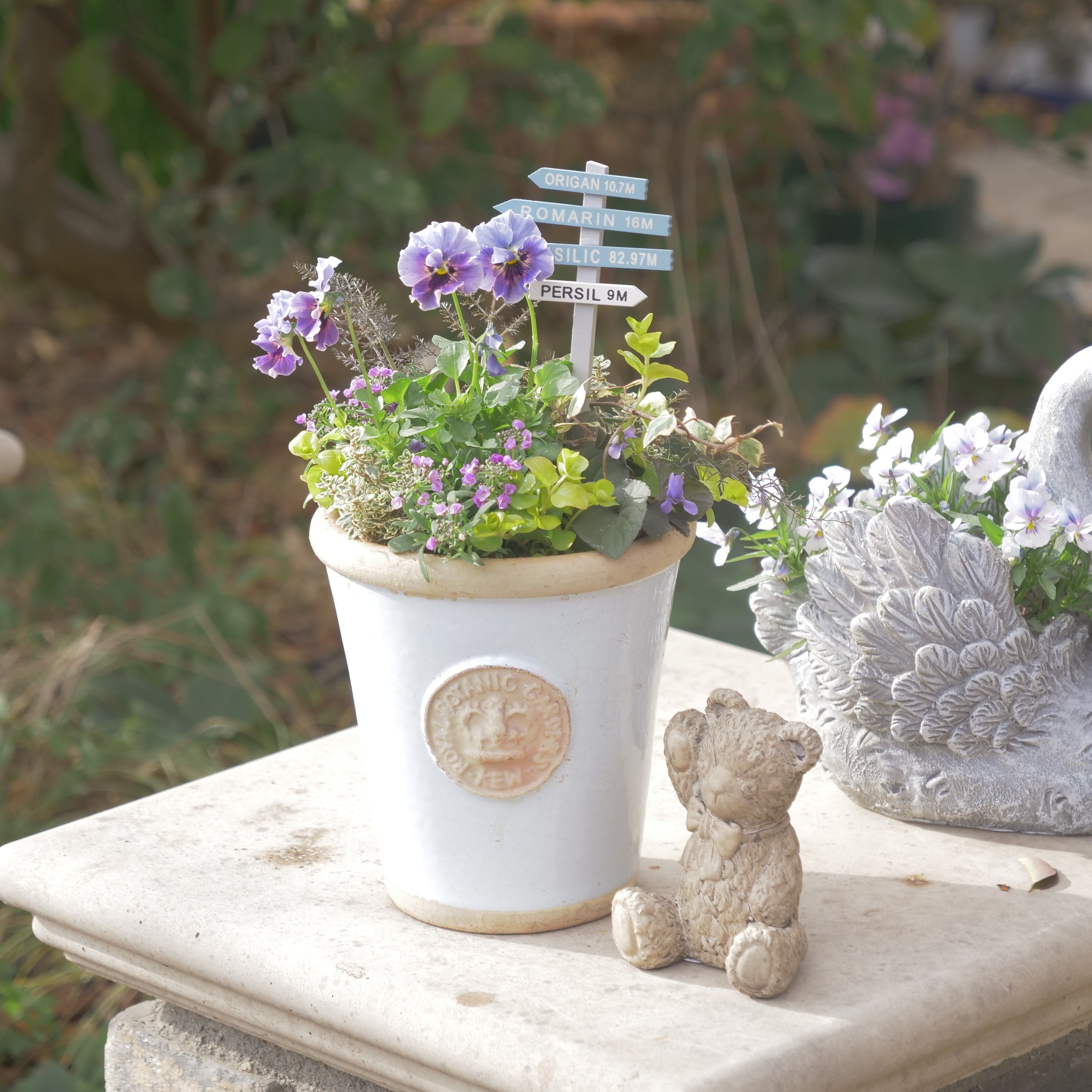 flowermagicオリジナル ビオラレディの寄せ植え。ブルーのピック付き