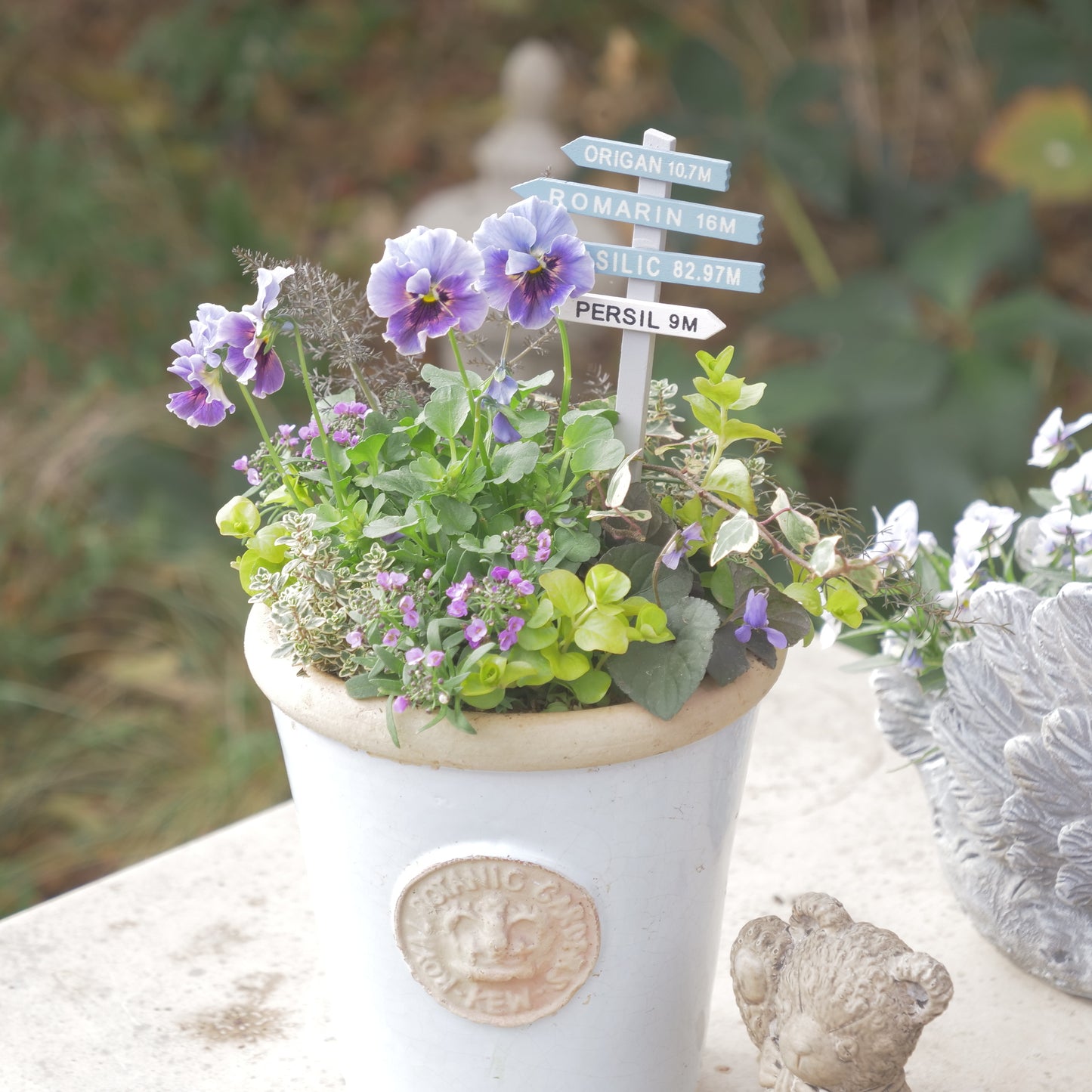 flowermagicオリジナル　ビオラレディの寄せ植え。ブルーのピック付き。