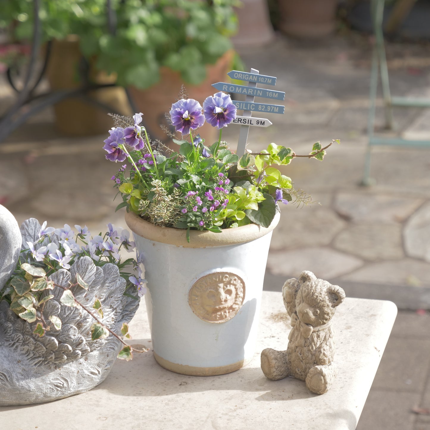 flowermagicオリジナル　ビオラレディの寄せ植え。ブルーのピック付き。