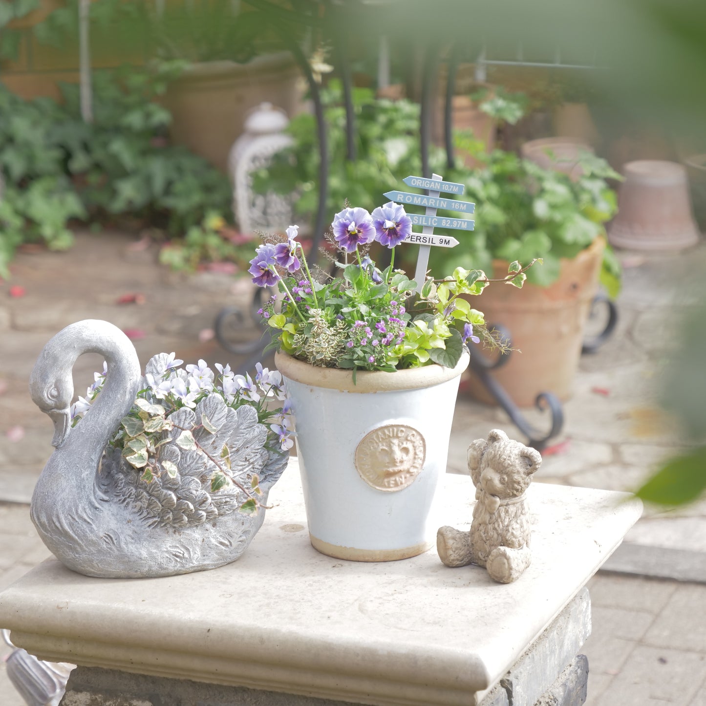 flowermagicオリジナル　ビオラレディの寄せ植え。ブルーのピック付き。