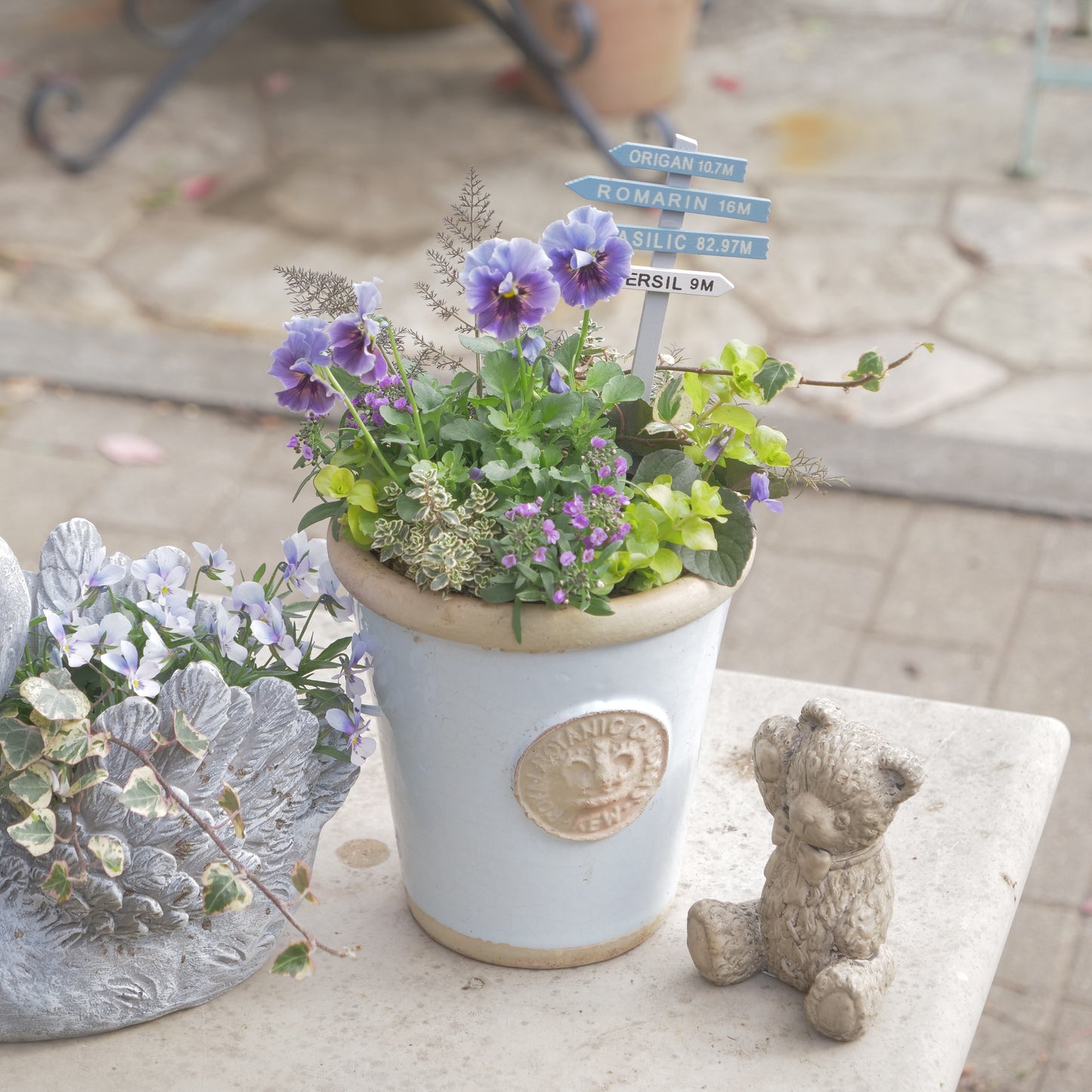 flowermagicオリジナル　ビオラレディの寄せ植え。ブルーのピック付き。