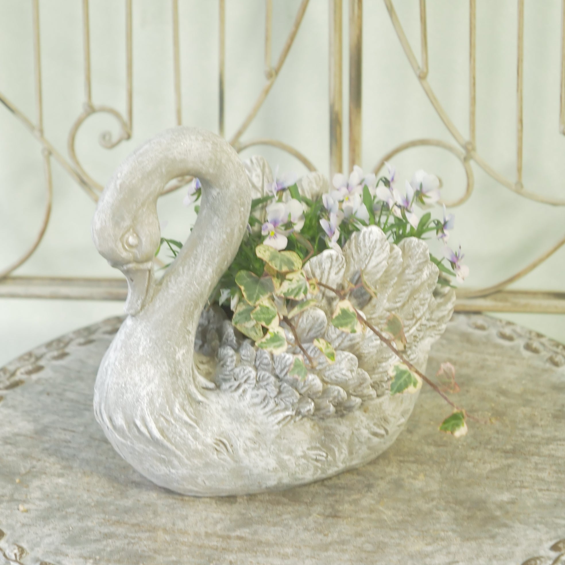 花苗、リーフ苗 – flower magic