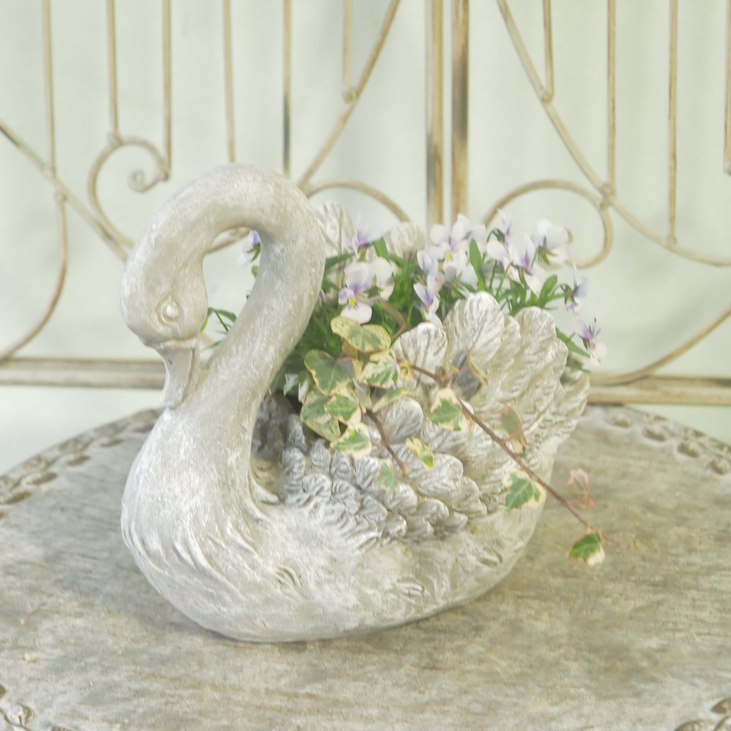 flowermagicオリジナル　ビオレッタ雫のスワン鉢植え。