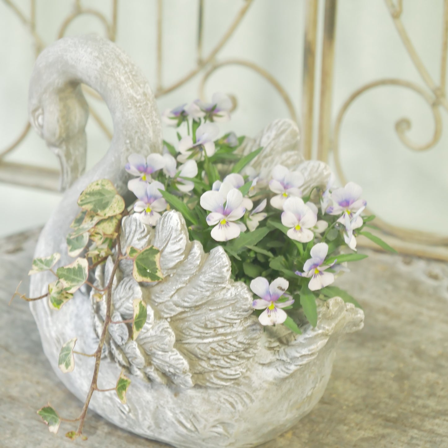 flowermagicオリジナル　ビオレッタ雫のスワン鉢植え。