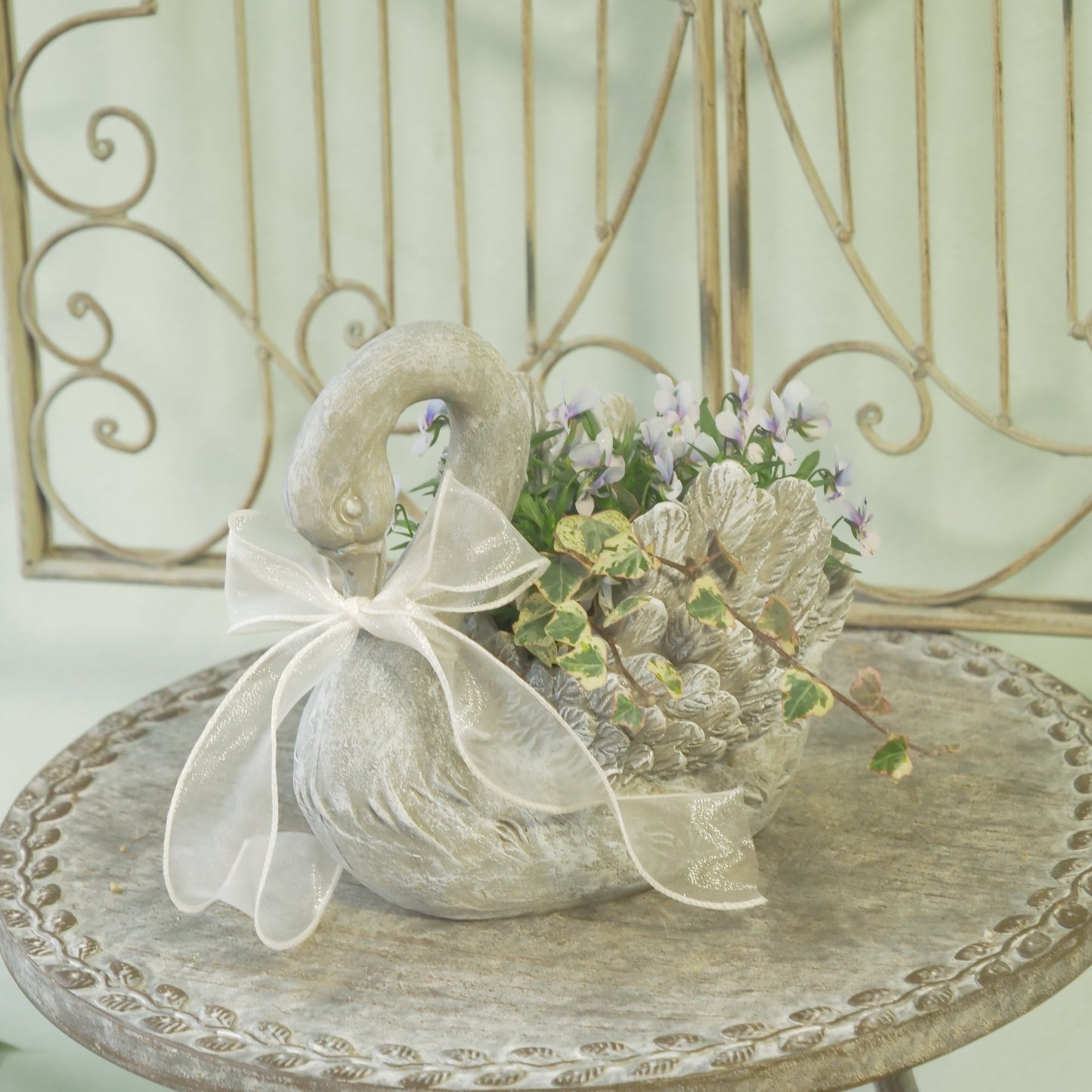 flowermagicオリジナル　ビオレッタ雫のスワン鉢植え。