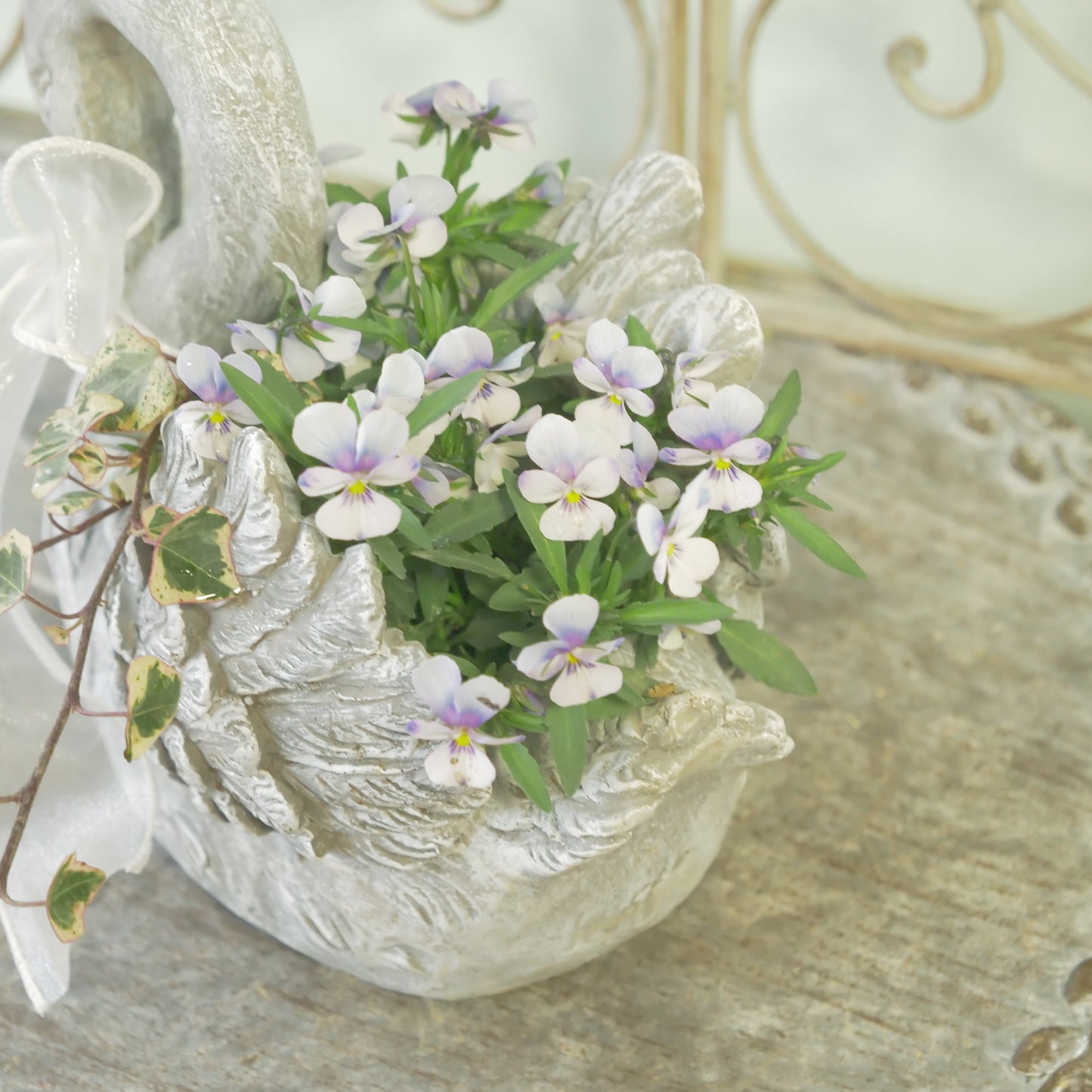 flowermagicオリジナル　ビオレッタ雫のスワン鉢植え。