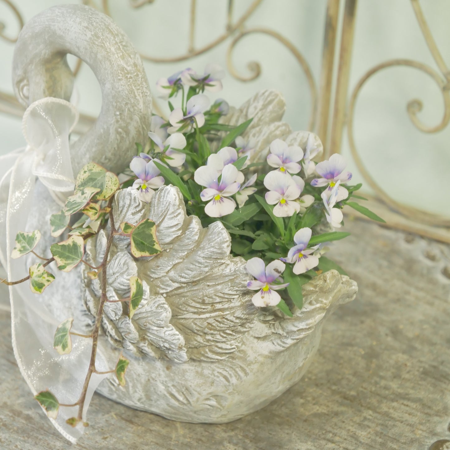 flowermagicオリジナル　ビオレッタ雫のスワン鉢植え。