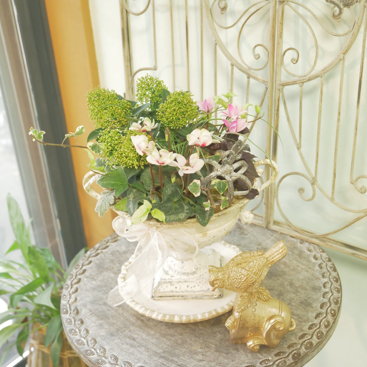 flowermagicオリジナル　スキミアとシクラメン【フェアリーピコ】の寄せ植え。鉢皿とクラウンのピック付き。