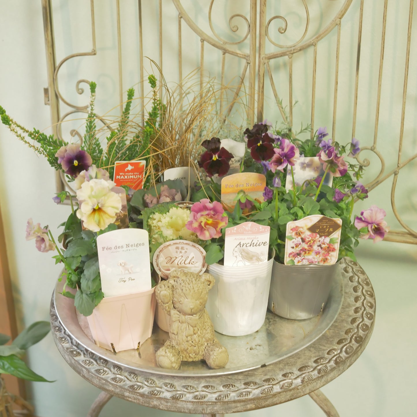 【flowermagicのクリスマス、年末、花苗福袋】花苗13～15＆クマの置物1点入り。ラスト1個