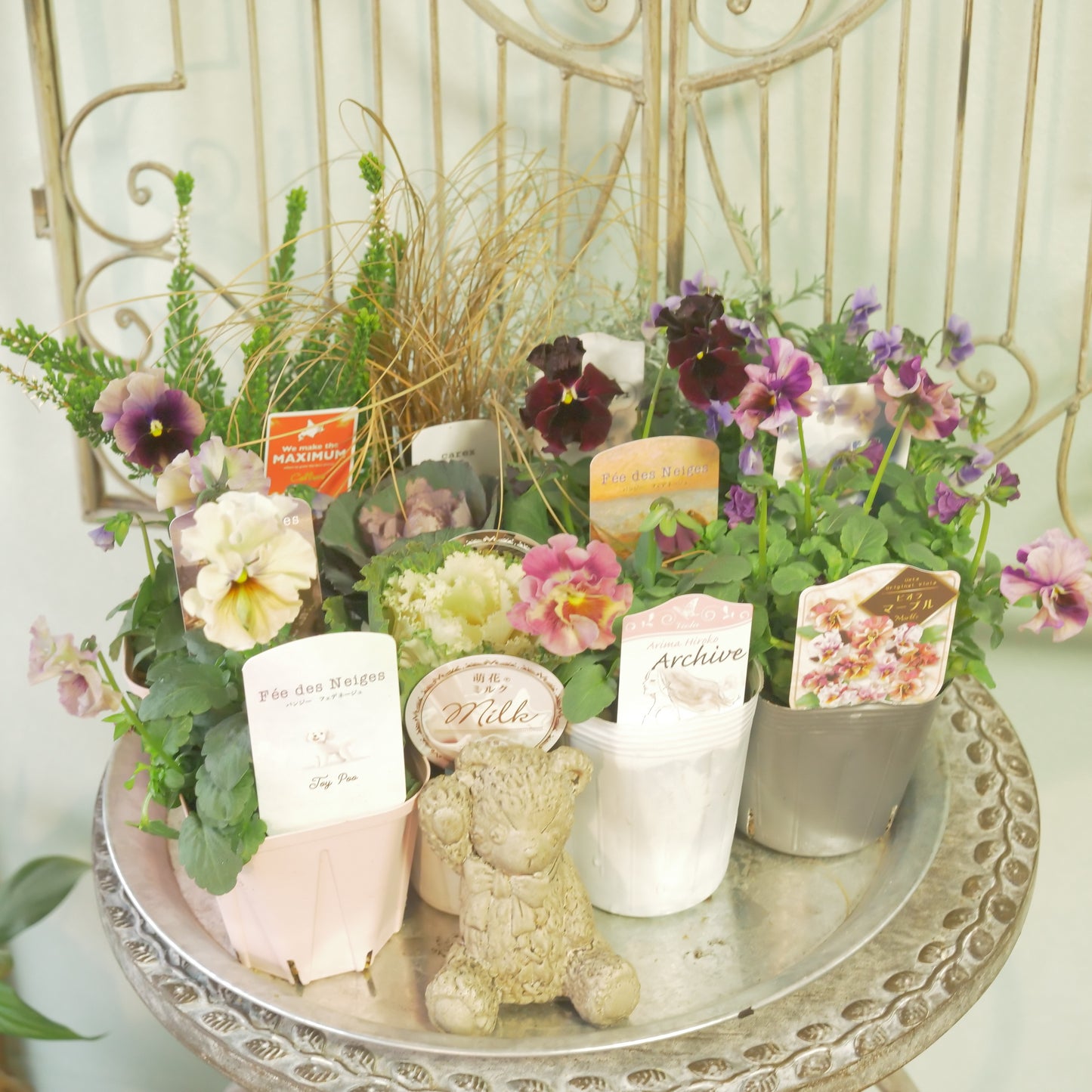 【flowermagicのクリスマス、年末、花苗福袋】花苗13～15＆クマの置物1点入り。ラスト1個