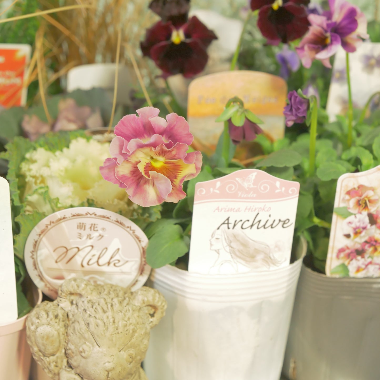 【flowermagicのクリスマス、年末、花苗福袋】花苗13～15＆クマの置物1点入り。ラスト1個