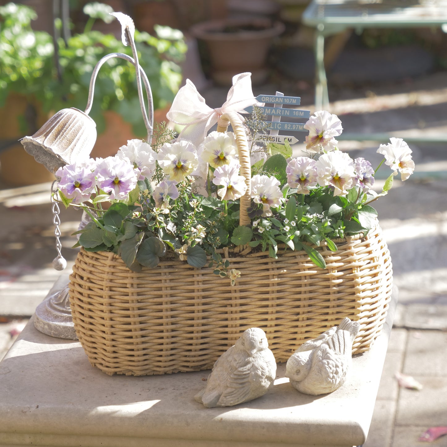 flowermagicオリジナル　パンジートイプーの寄せ植え。ピック付き。