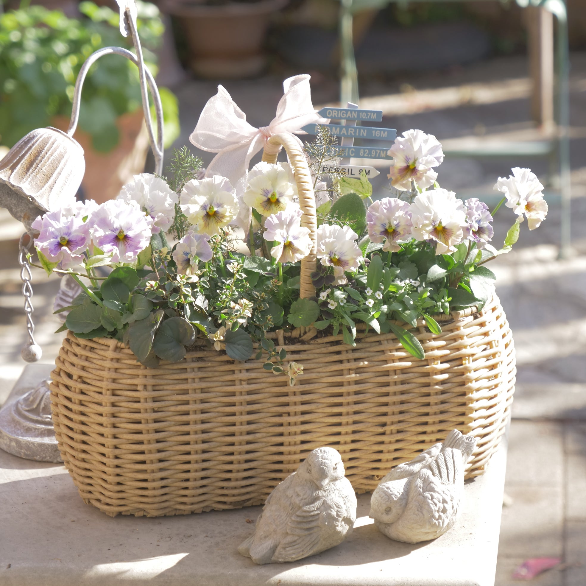 花苗、リーフ苗 – flower magic