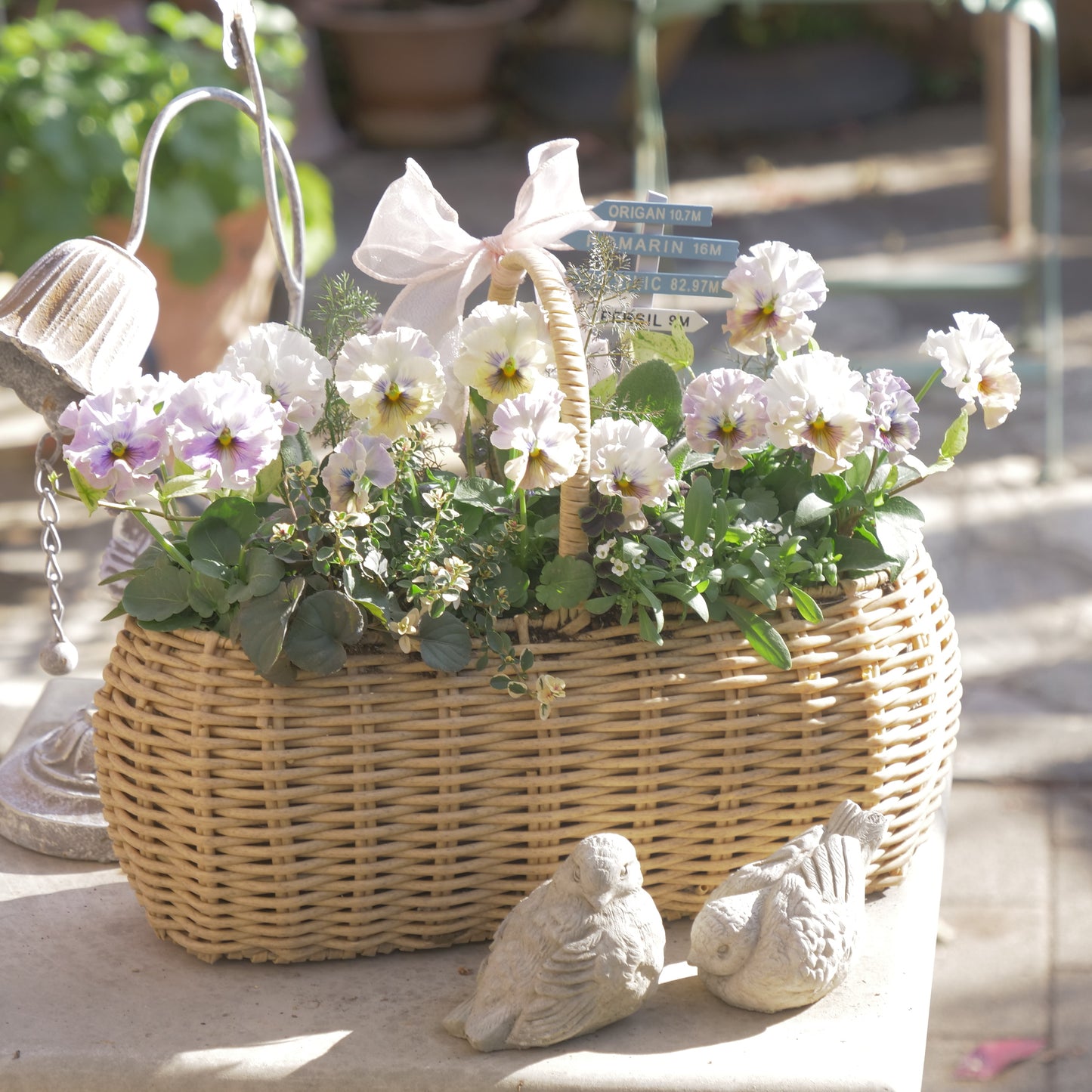 flowermagicオリジナル　パンジートイプーの寄せ植え。ピック付き。