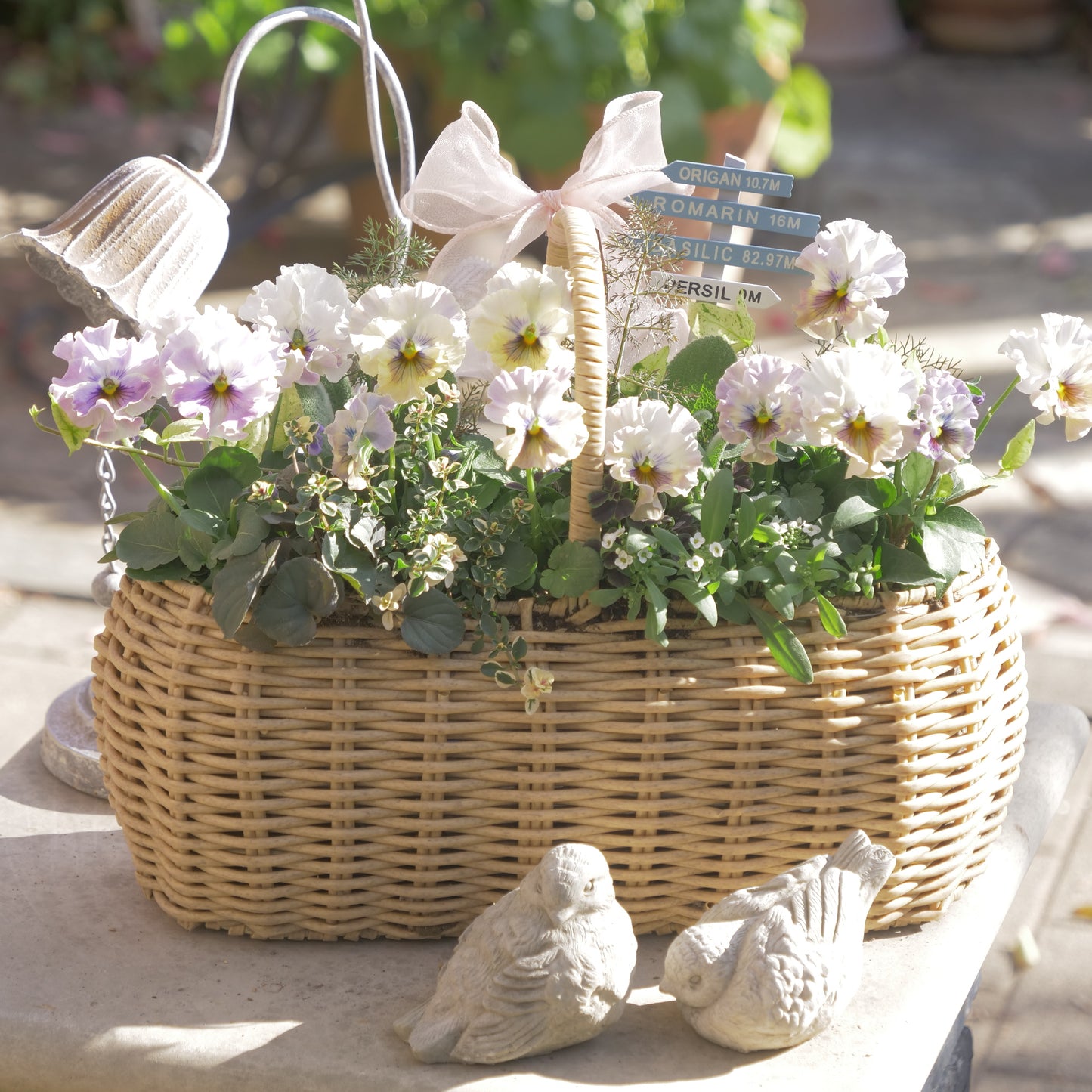 flowermagicオリジナル　パンジートイプーの寄せ植え。ピック付き。