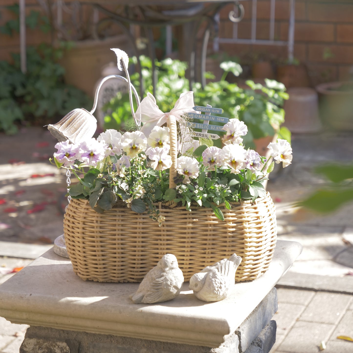 flowermagicオリジナル　パンジートイプーの寄せ植え。ピック付き。