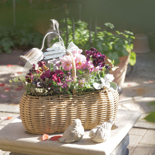 flowermagicオリジナル　　可愛いピンク系のバスケット寄せ植え。ピック付き。