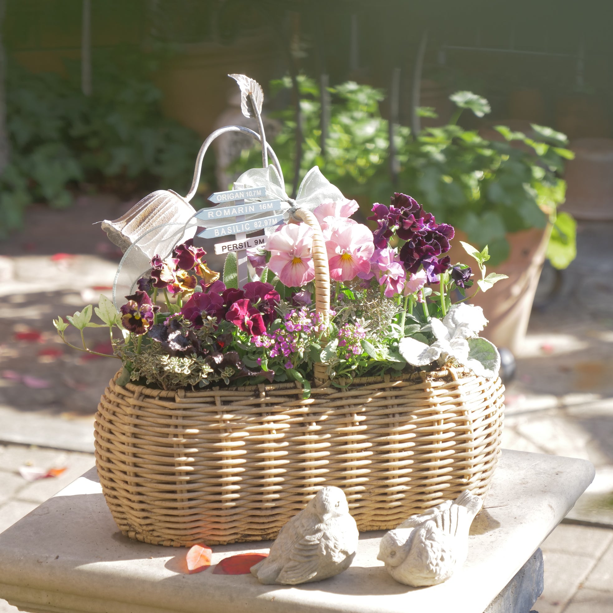 フラワーマジック「ボタニア」 花苗、リーフ苗 – flower magic