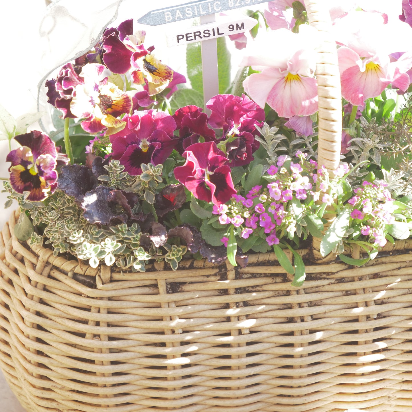 flowermagicオリジナル　　可愛いピンク系のバスケット寄せ植え。ピック付き。