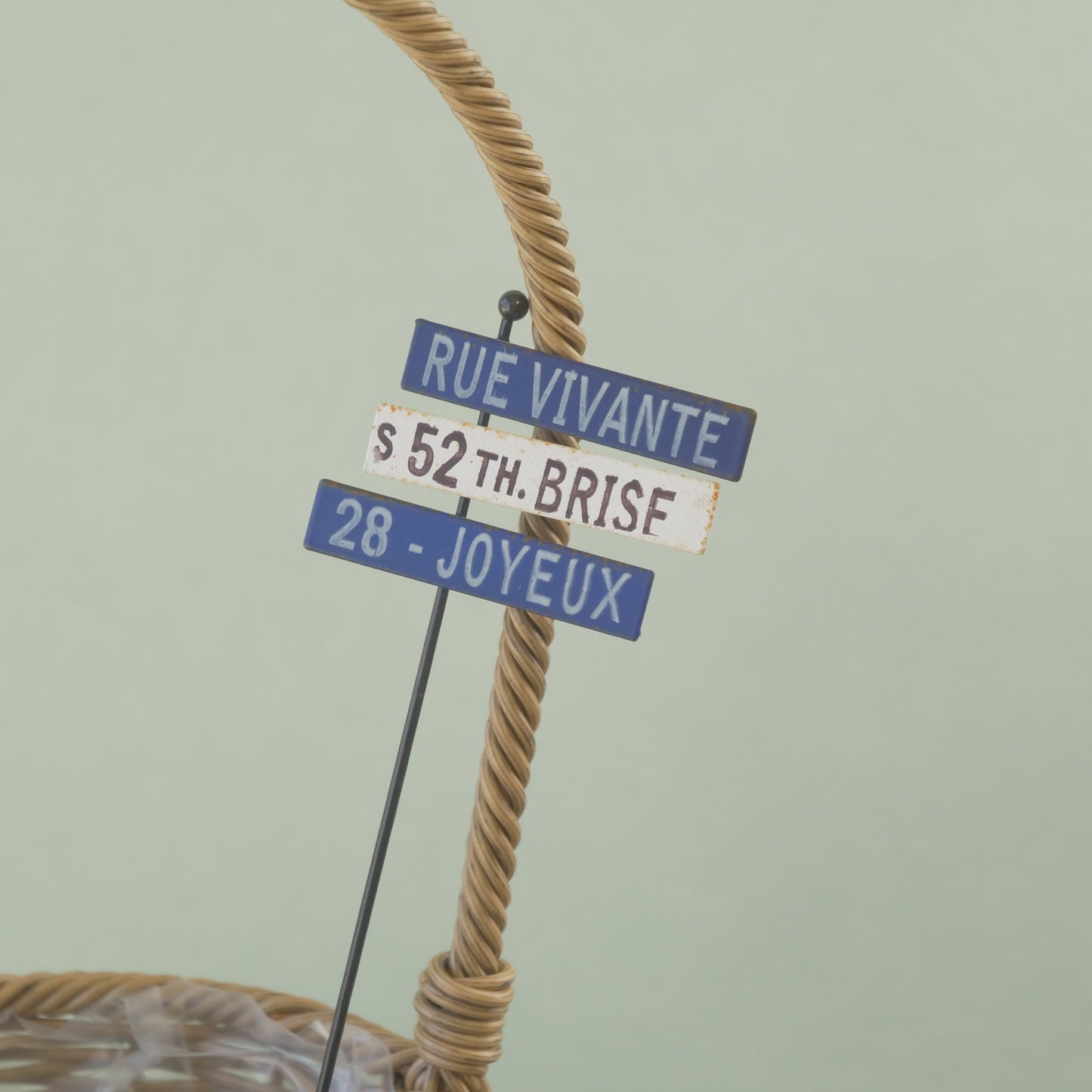 ヴィヴァンピック　寄せ植えにワンポイント！