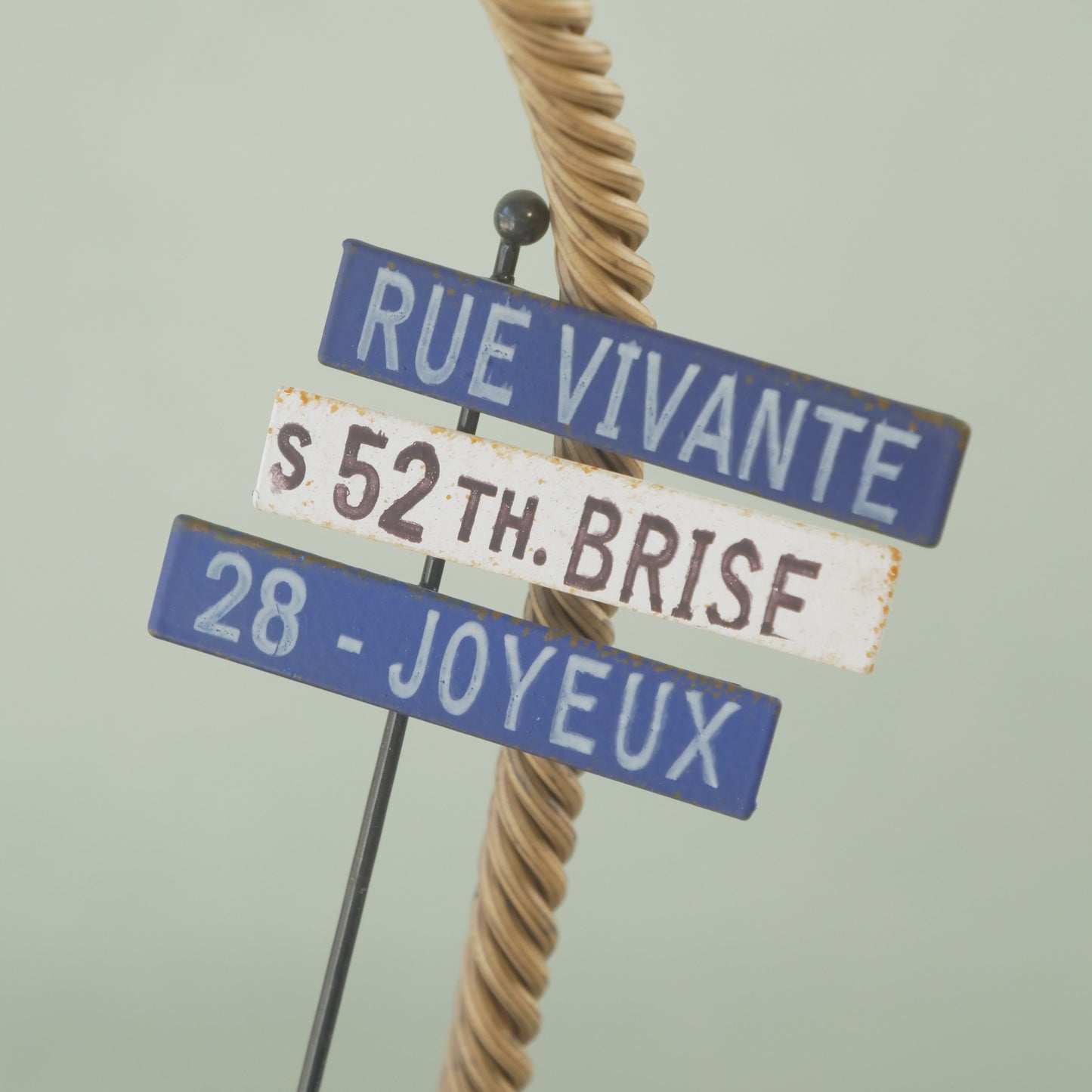 ヴィヴァンピック　寄せ植えにワンポイント！