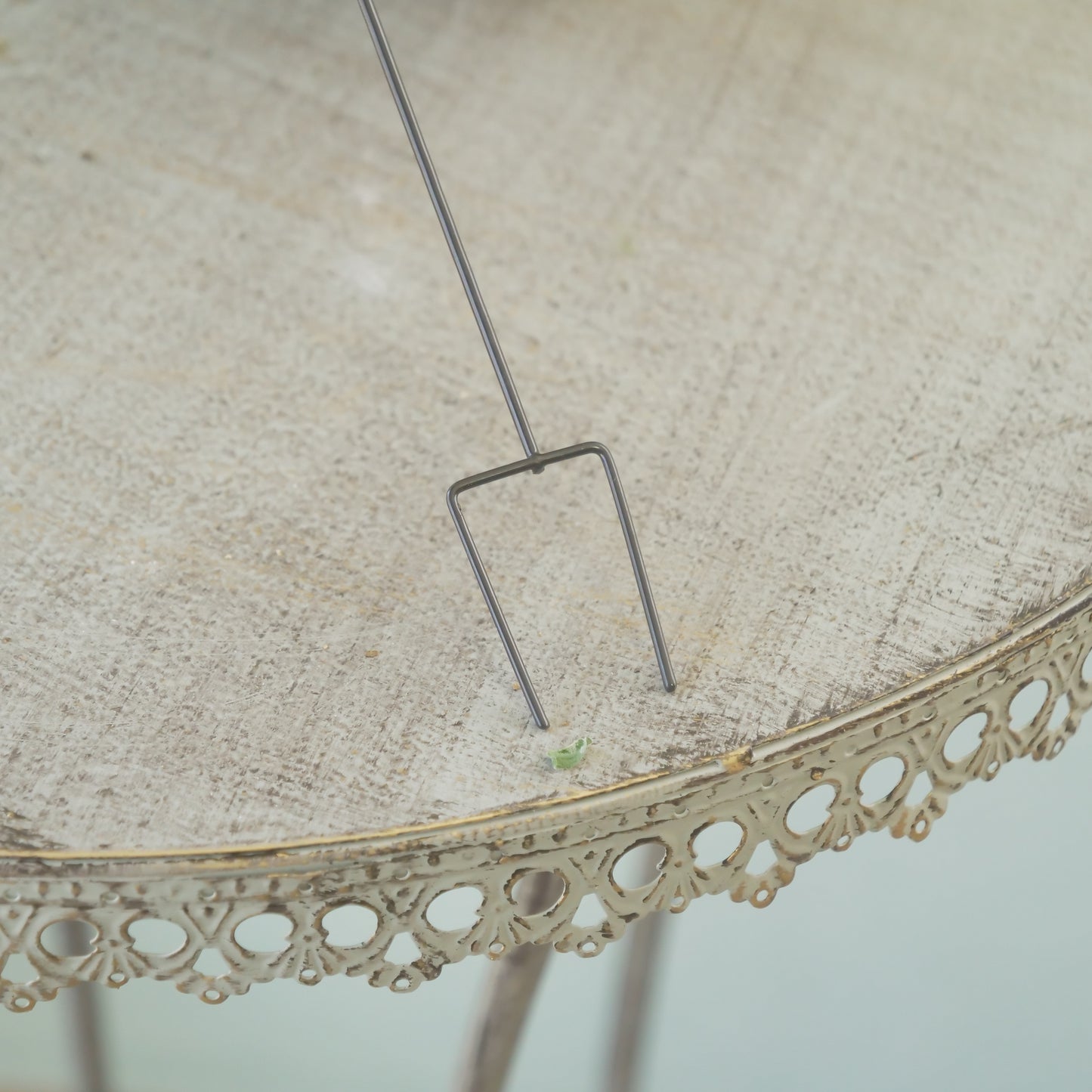 ヴィヴァンピック　寄せ植えにワンポイント！