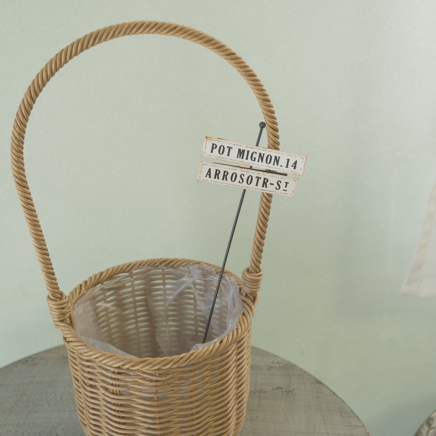 アロゼピック　寄せ植えにワンポイント！