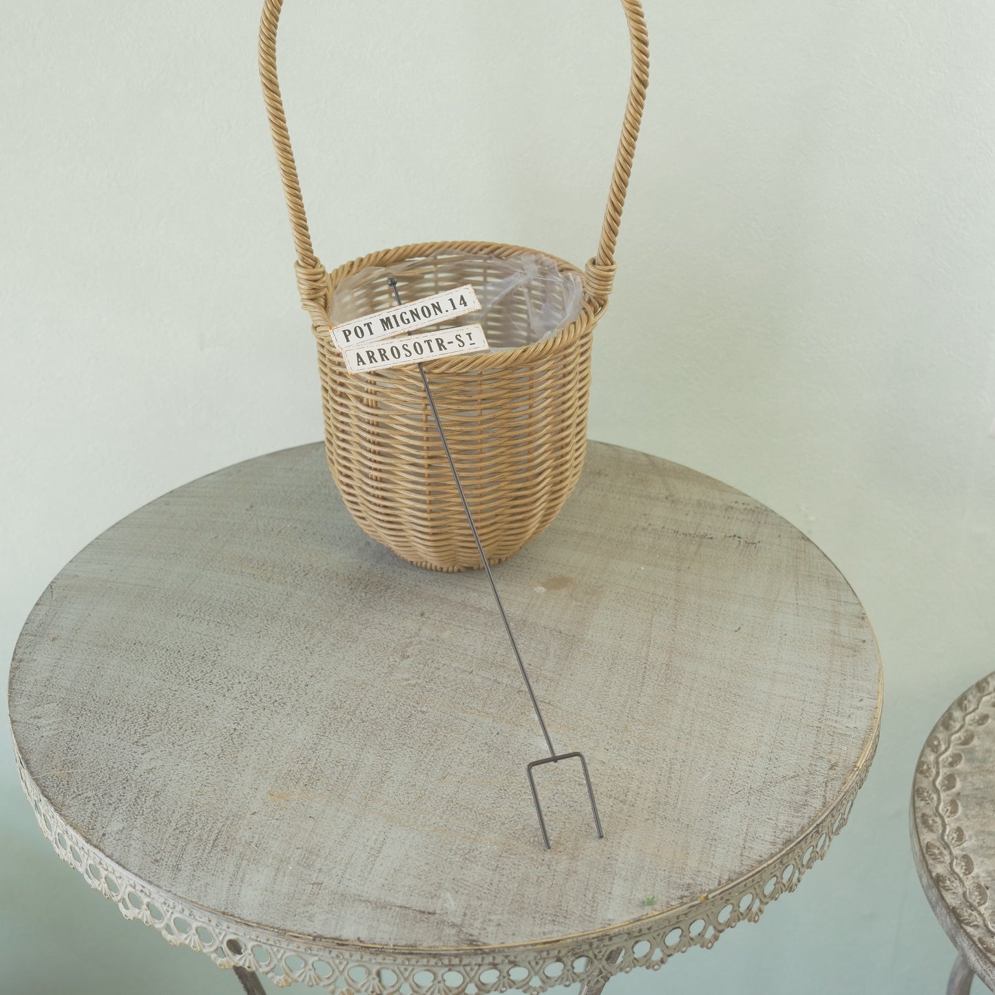 アロゼピック　寄せ植えにワンポイント！