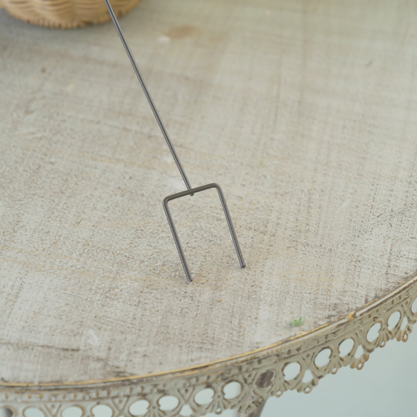 アロゼピック　寄せ植えにワンポイント！