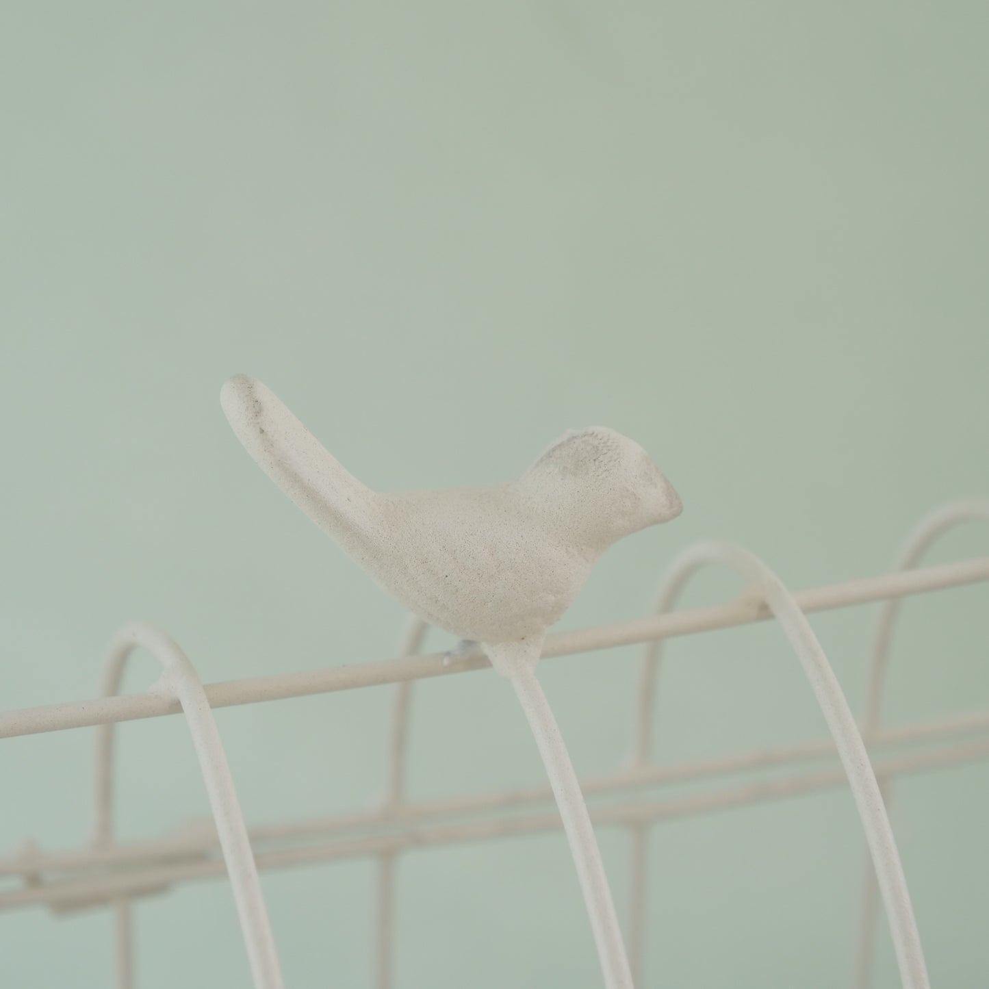 オワゾーカージュワイド