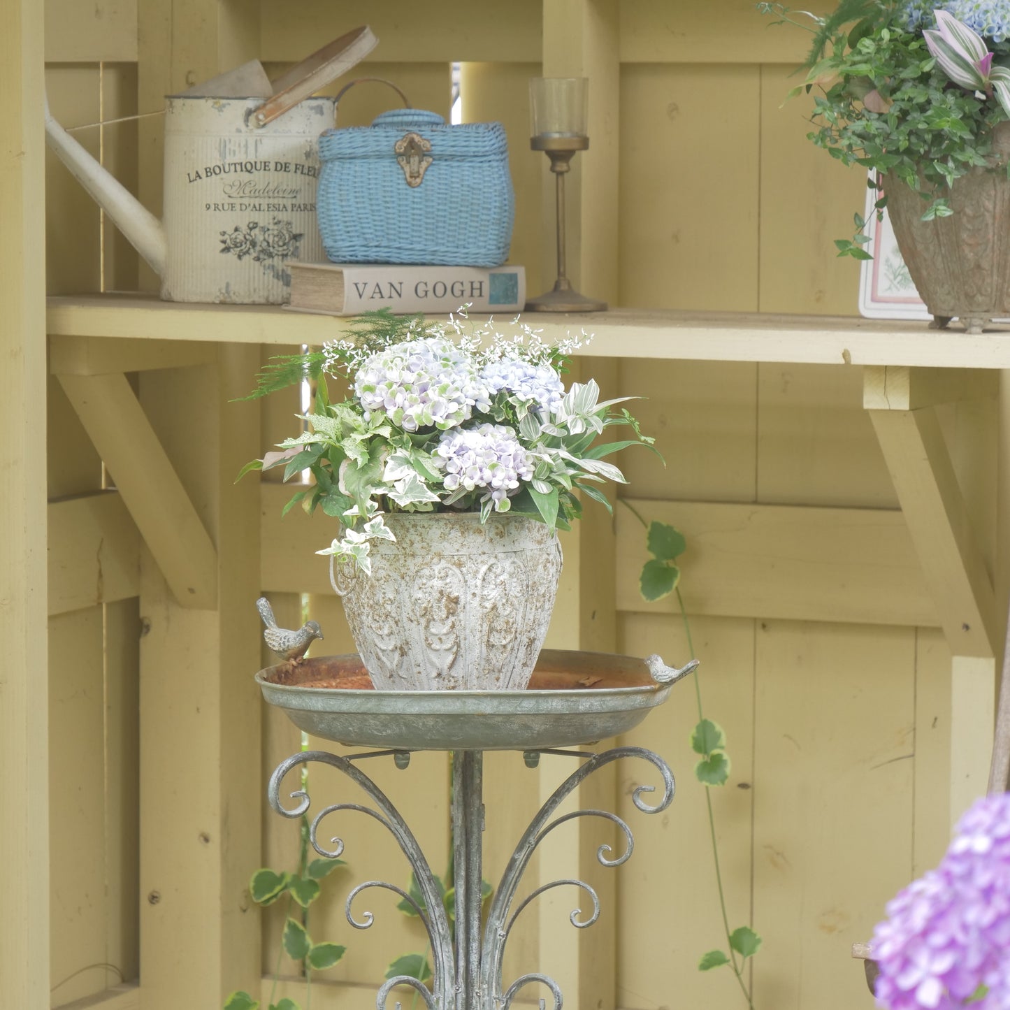 自分で植える【あじさい寄せ植え動画＆花材一式】