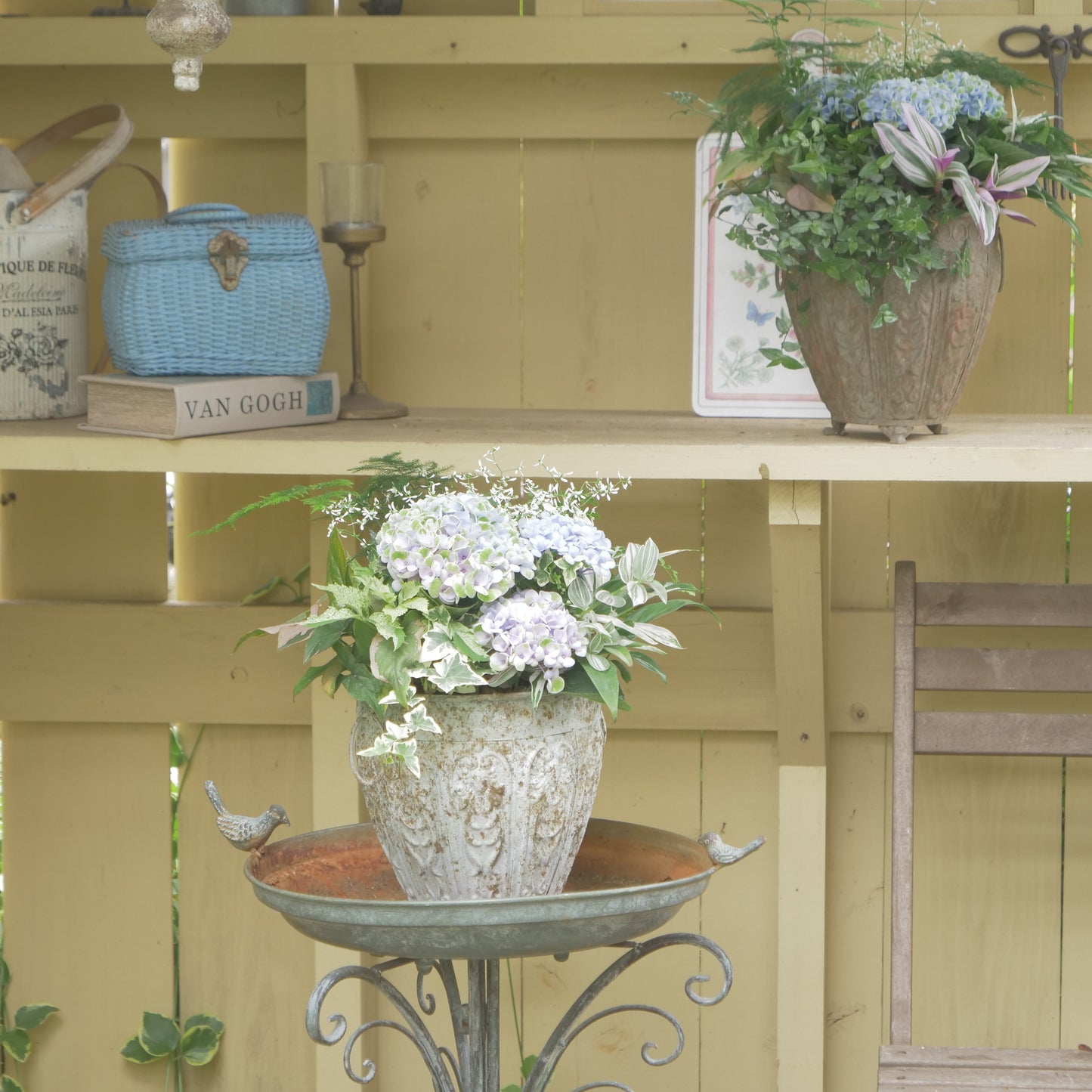 自分で植える【あじさい寄せ植え動画＆花材一式】