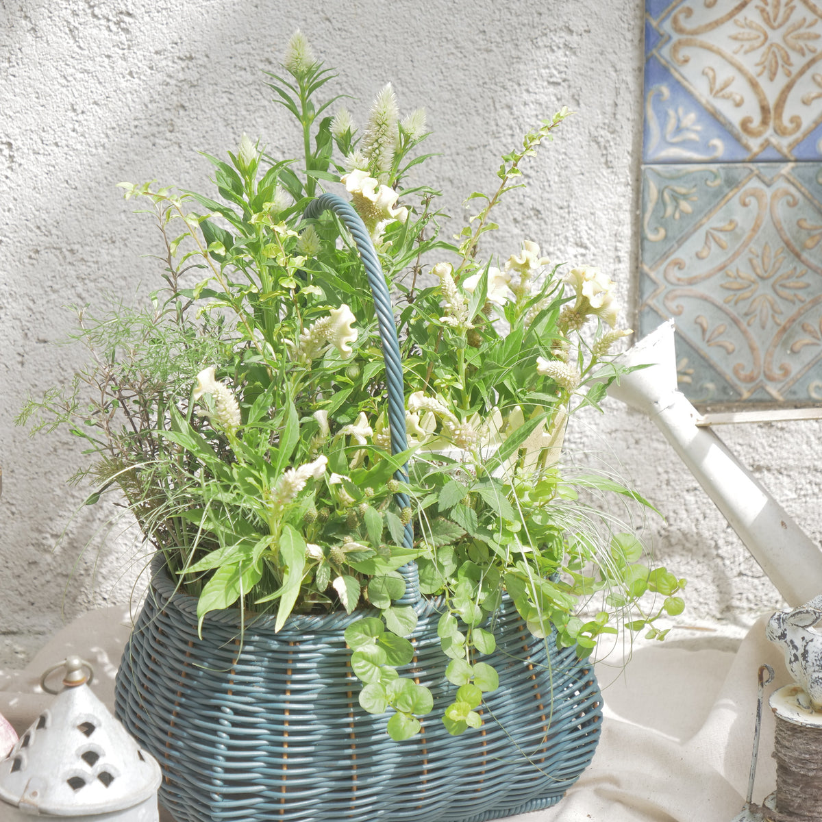 flowermagicオリジナル｜淡いイエローセロシアとグリーンのバスケット寄せ植え